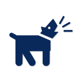 2a